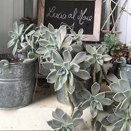 Lucia Al Mare - D'hotes Nocleg ze śniadaniem 3*