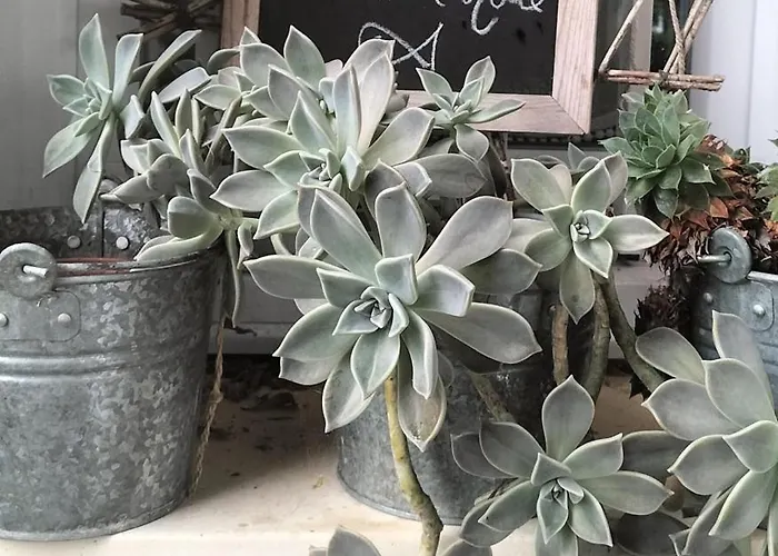 Lucia Al Mare - D'hotes Bed & Breakfast 3*